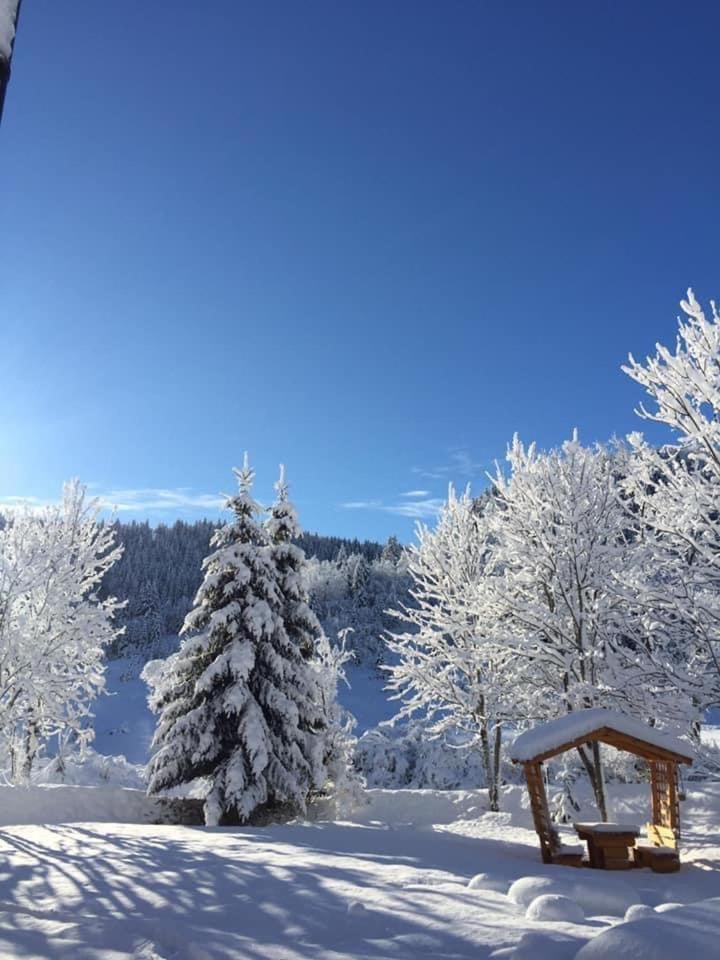 Apartman - Sobe Tiha Luka, Bjelašnica エクステリア 写真